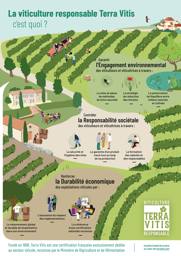 Afficge illustrée d'un domaine viticole avec les engagements de Terra Vitis